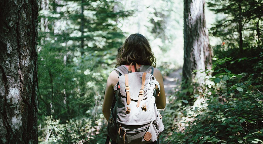 Hiker with Backpack on Muir Woods Trip from San Francisco