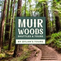 mui-woods-design
