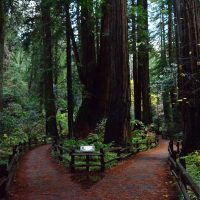 which-path-will-you-choose